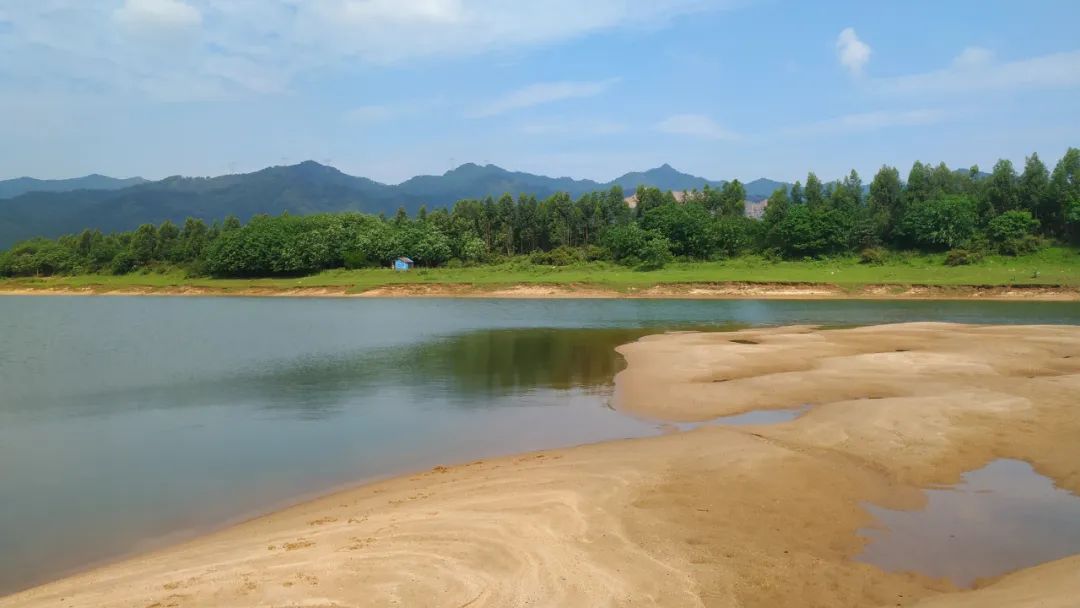 清远石角沙滩自驾一日游攻略:钓鱼,遛娃,野餐,遛狗狗