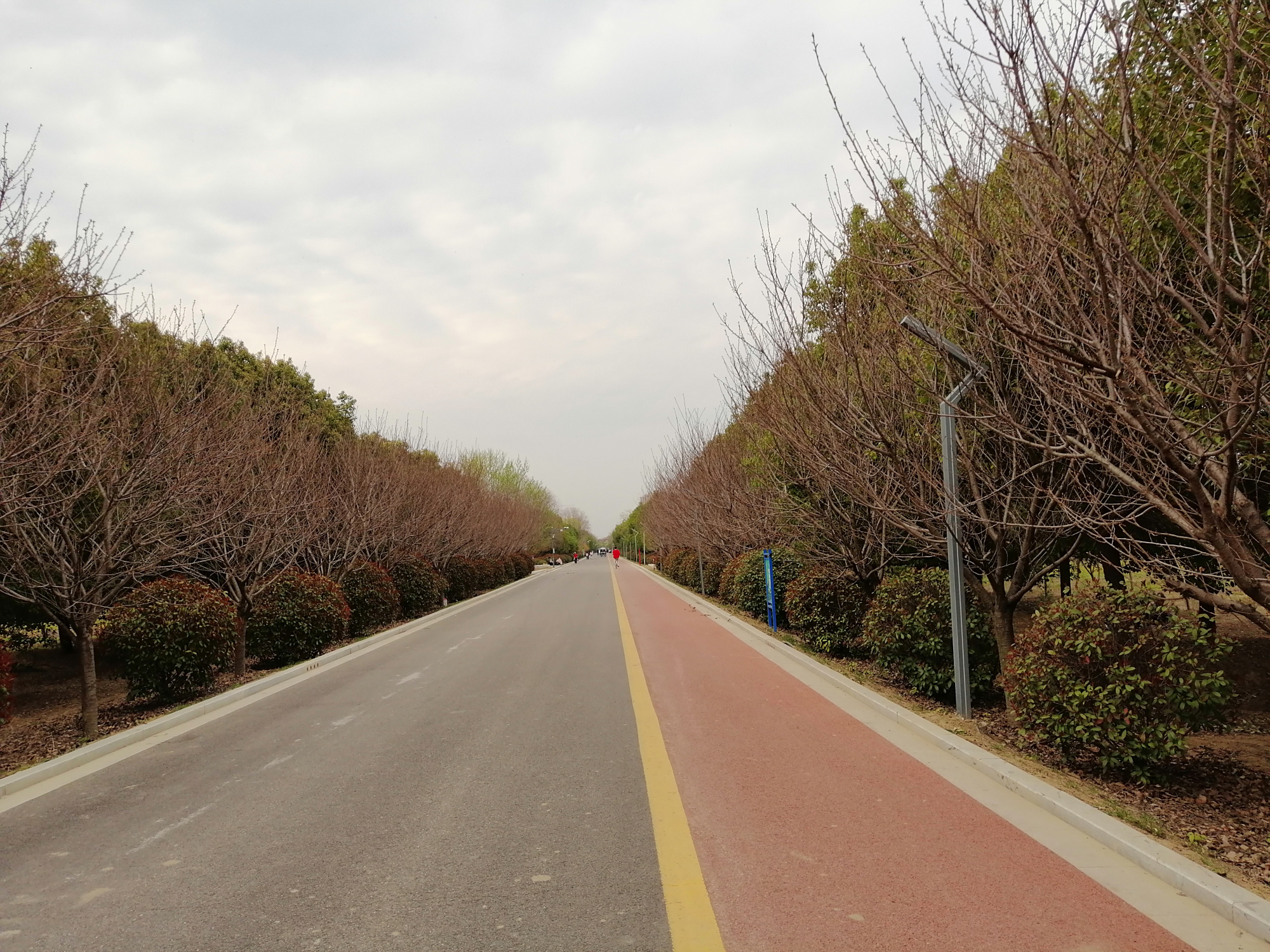 值得一游!蒙城城市森林公园绿树成荫,河流清澈,鸟语花香