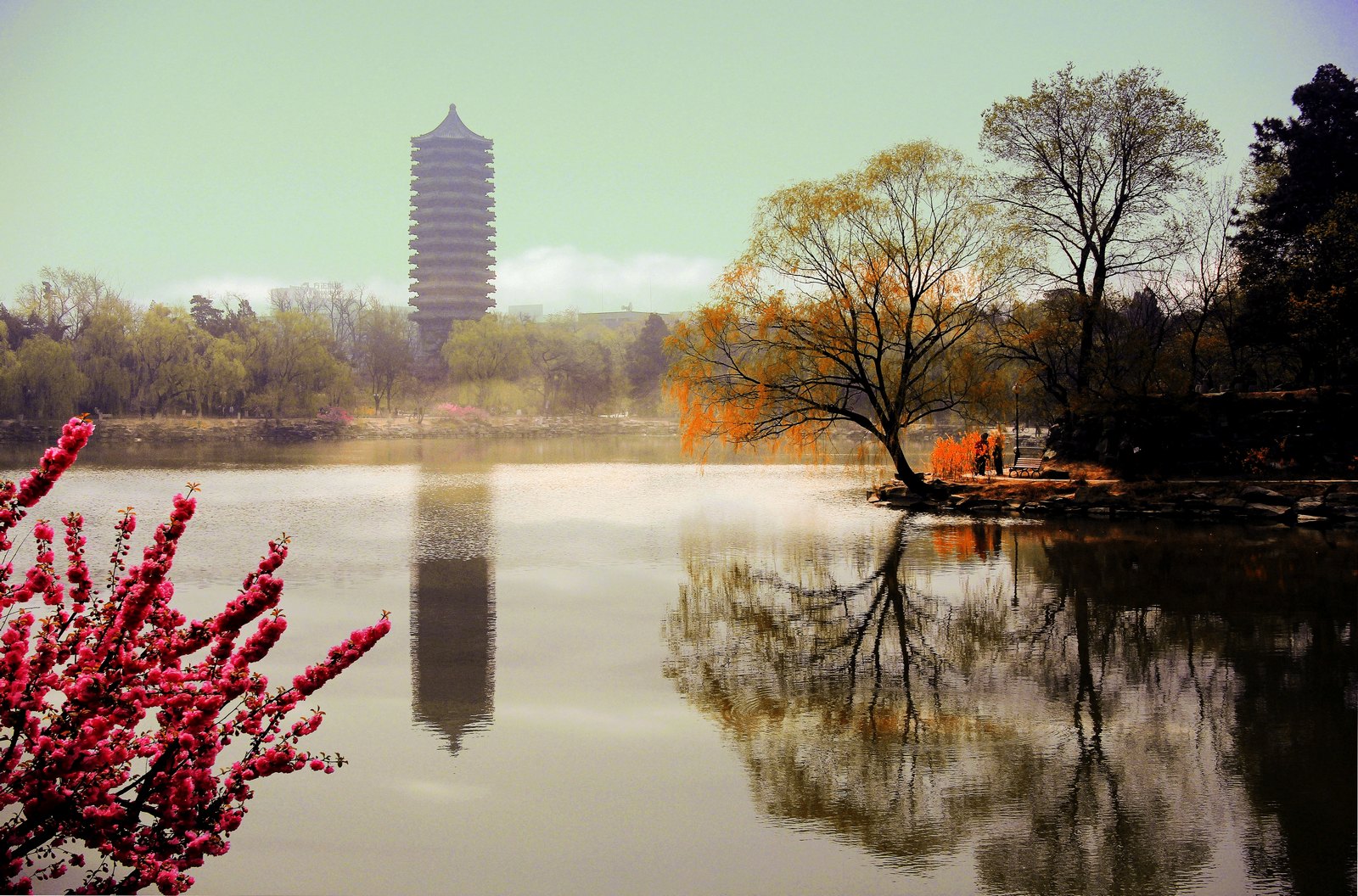 我国近代最好的大学之一,曾和哈佛大学合作成立学社,却惨遭分解