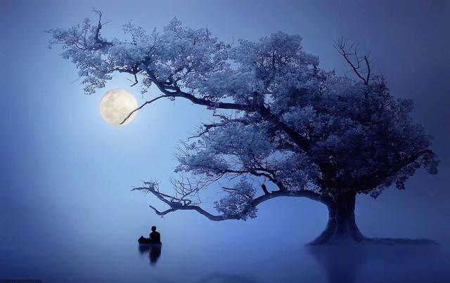 描写秋夜月光清冷,小园里残花飘落情景的上联:月冷花零落