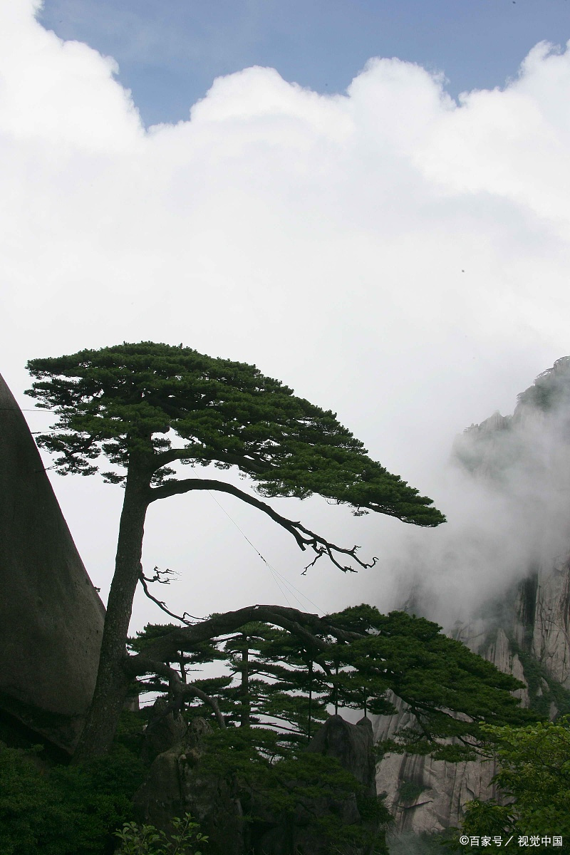 野外的风景