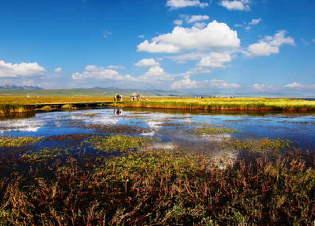 旅游:花湖——曾被评为中国最美的湿地,是摄影拍照的好去处