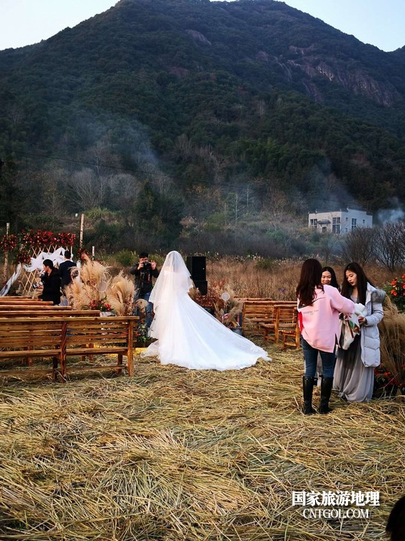 浙江台州,稻田里的婚礼(图)