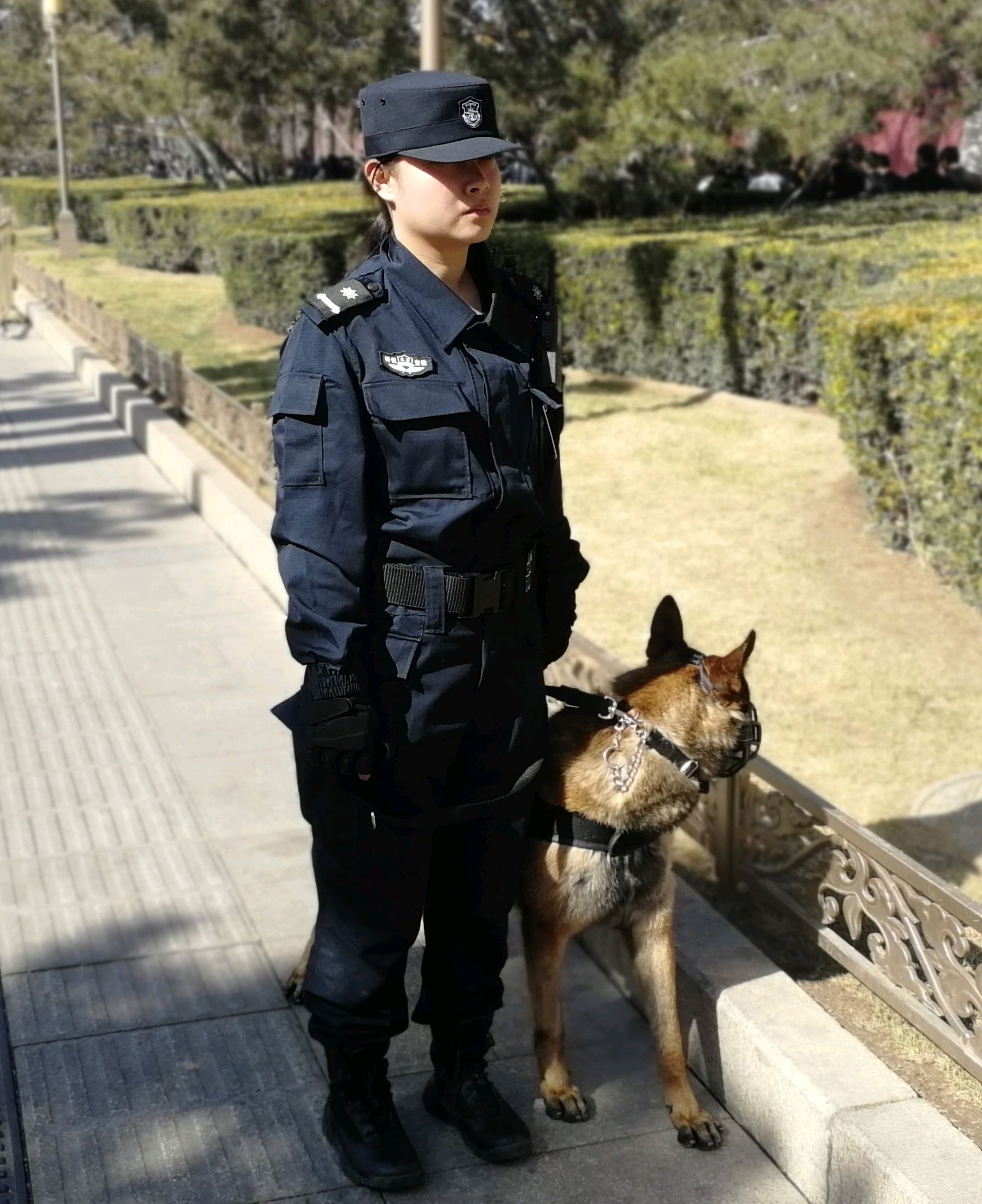 又看见女警员带警犬两会期间在天安门西侧排队安检人群外巡逻