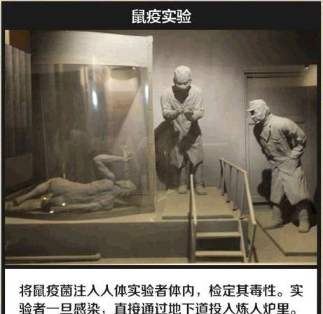 731实验演员表图片