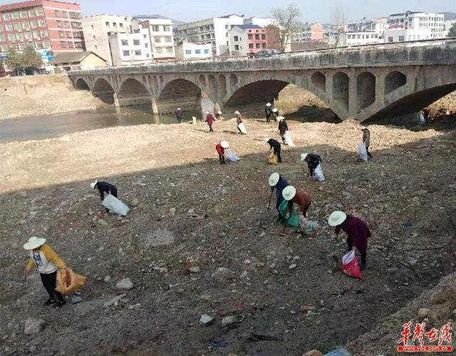 平江县童市镇开展"守望家乡河,锋潮益起来"百米净滩联合行动