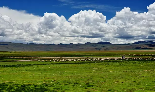 走过了不少地方,还是喜欢西藏的美景! 哲古草原