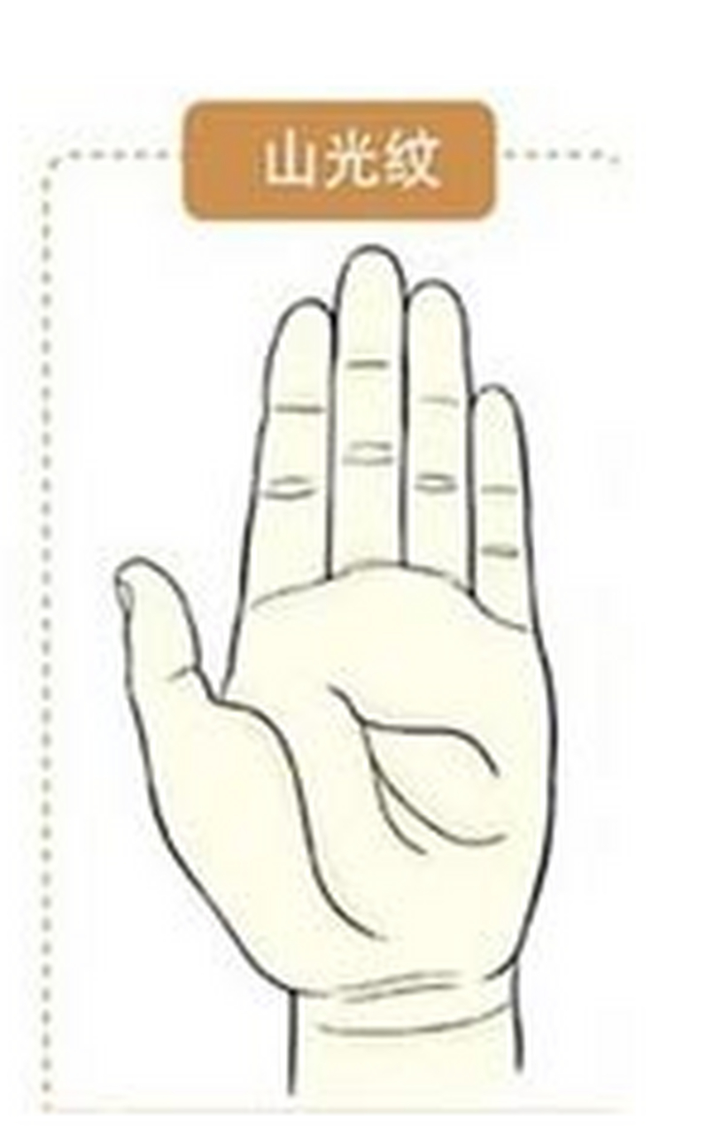 掌中有山光纹的人,清高散淡,不参与任何是非恩怨.