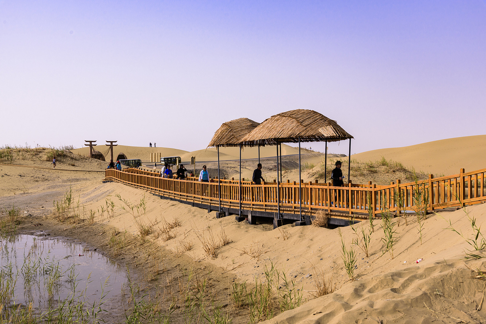 旅行中的治愈日常# 准噶尔盆地古尔班通古特沙漠南缘,是一片原始