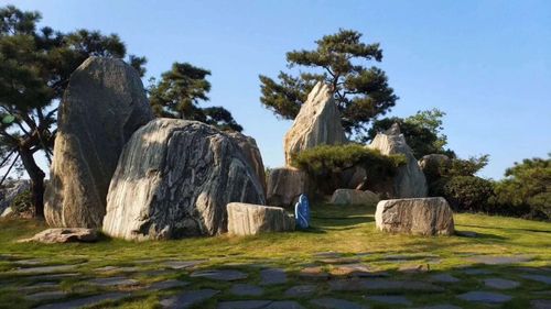 草坪中的泰山石