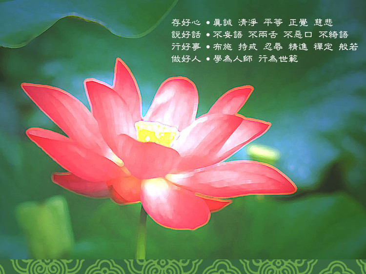 凭什么"莲花"可以看成佛教的象征?