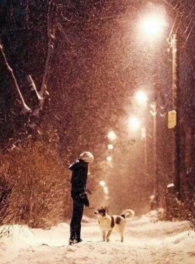 致单身狗们丨下着雪的情人节,才是真的"白头"!