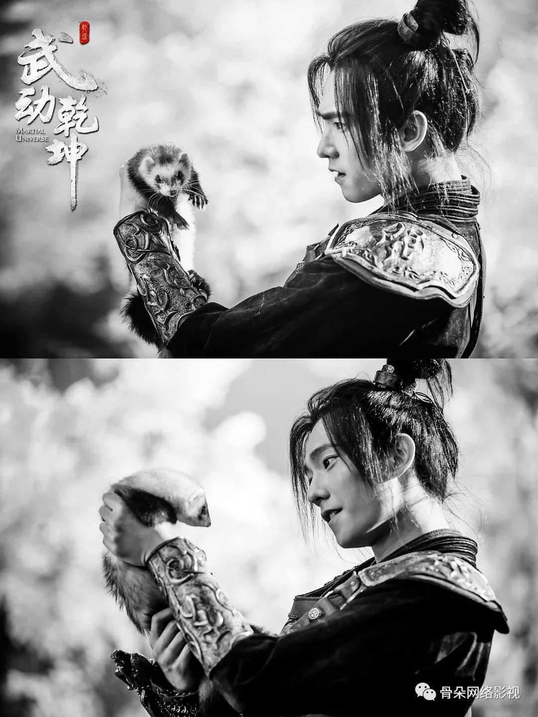 专访ceo张维丨深蓝影业,一掷乾坤