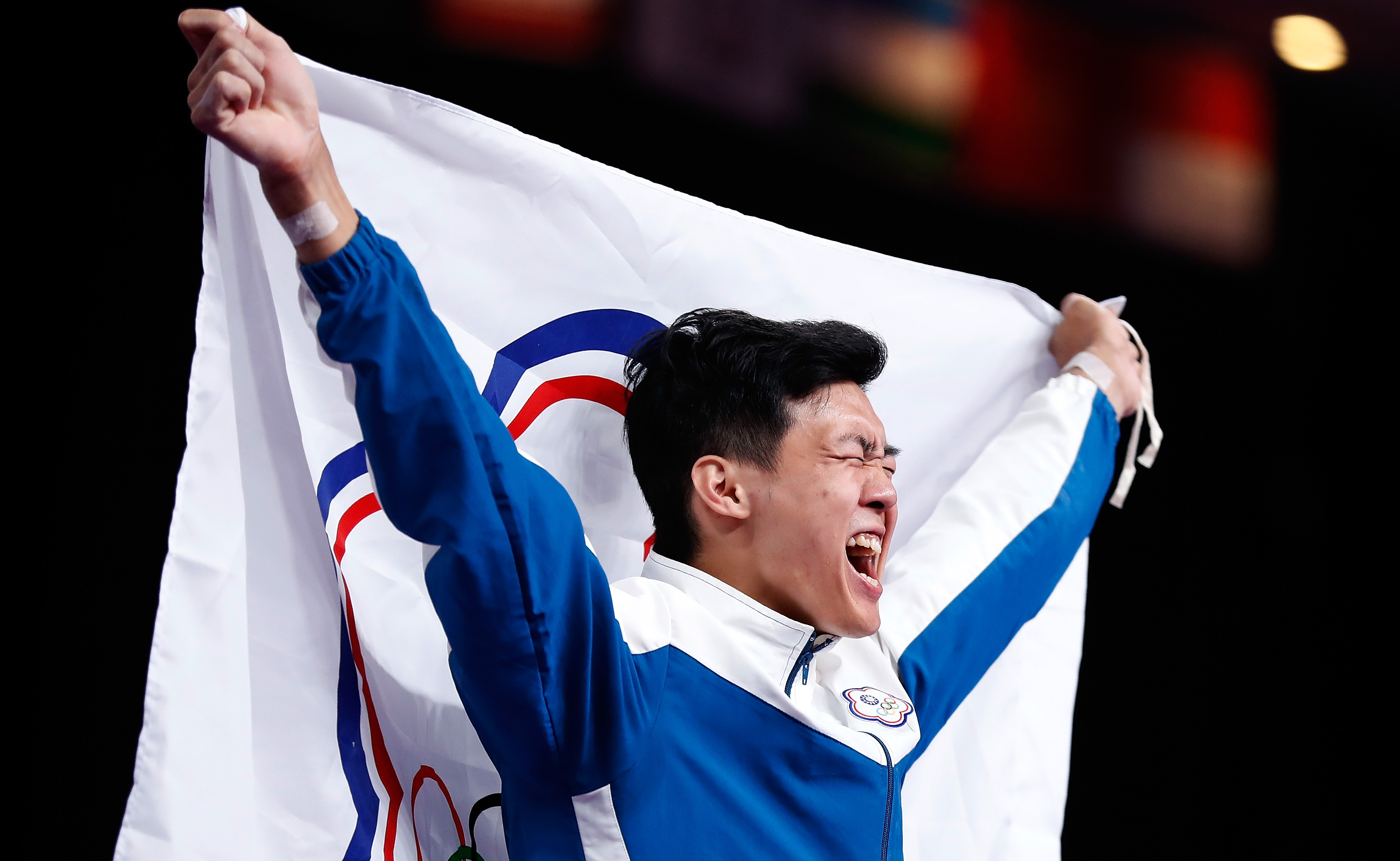 体操——中国台北选手唐嘉鸿获得男子单杠冠军(4)