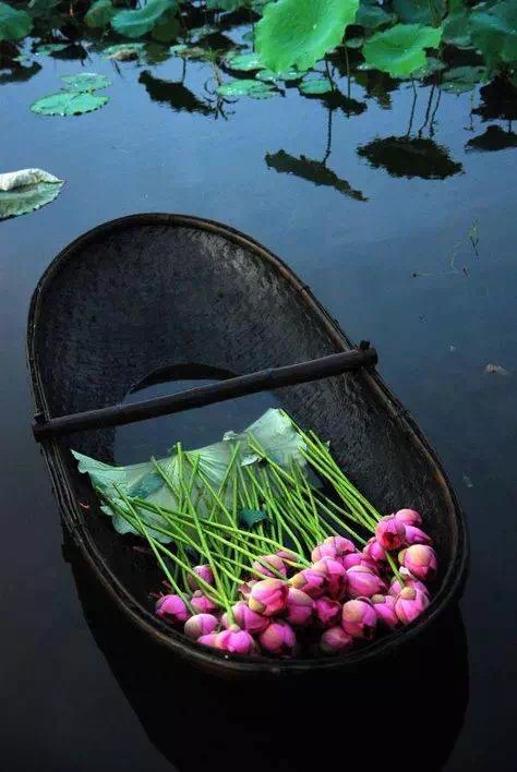 老家的春景 文/江桦