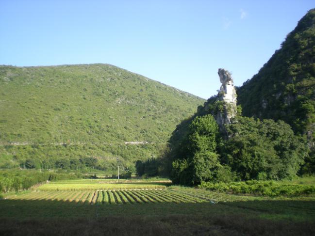 贵州兴义东南部有座万峰林,你知道这里吗 蓝天下的青山.