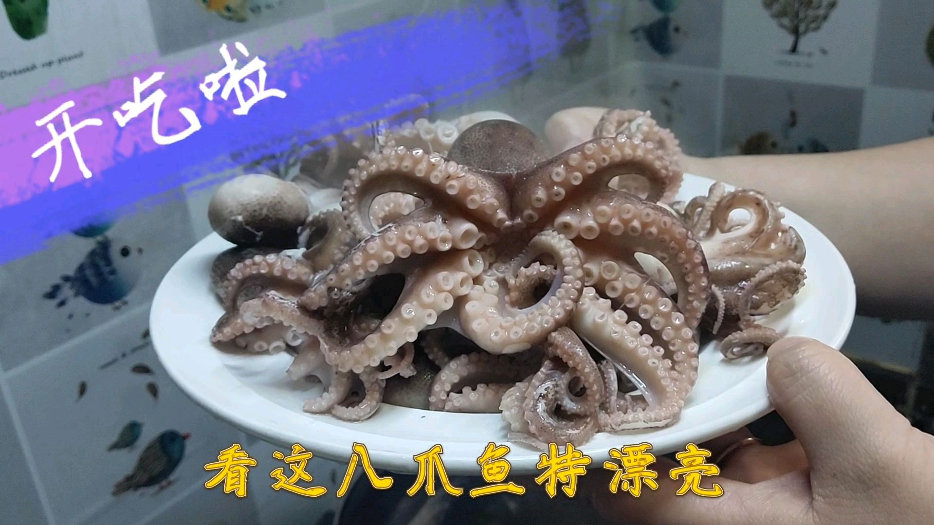 小章鱼还没下锅就想逃跑,今天四菜一汤,都是硬菜啊