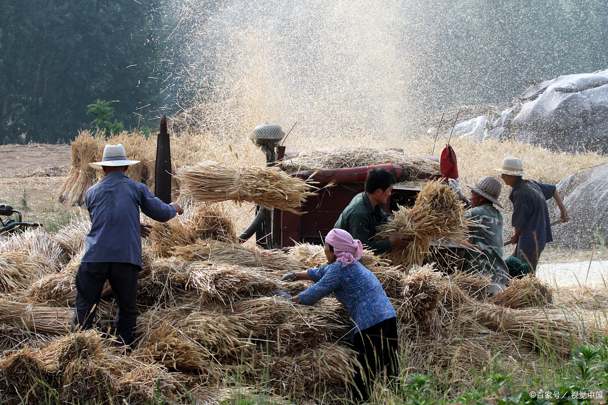收- 热门商品专区