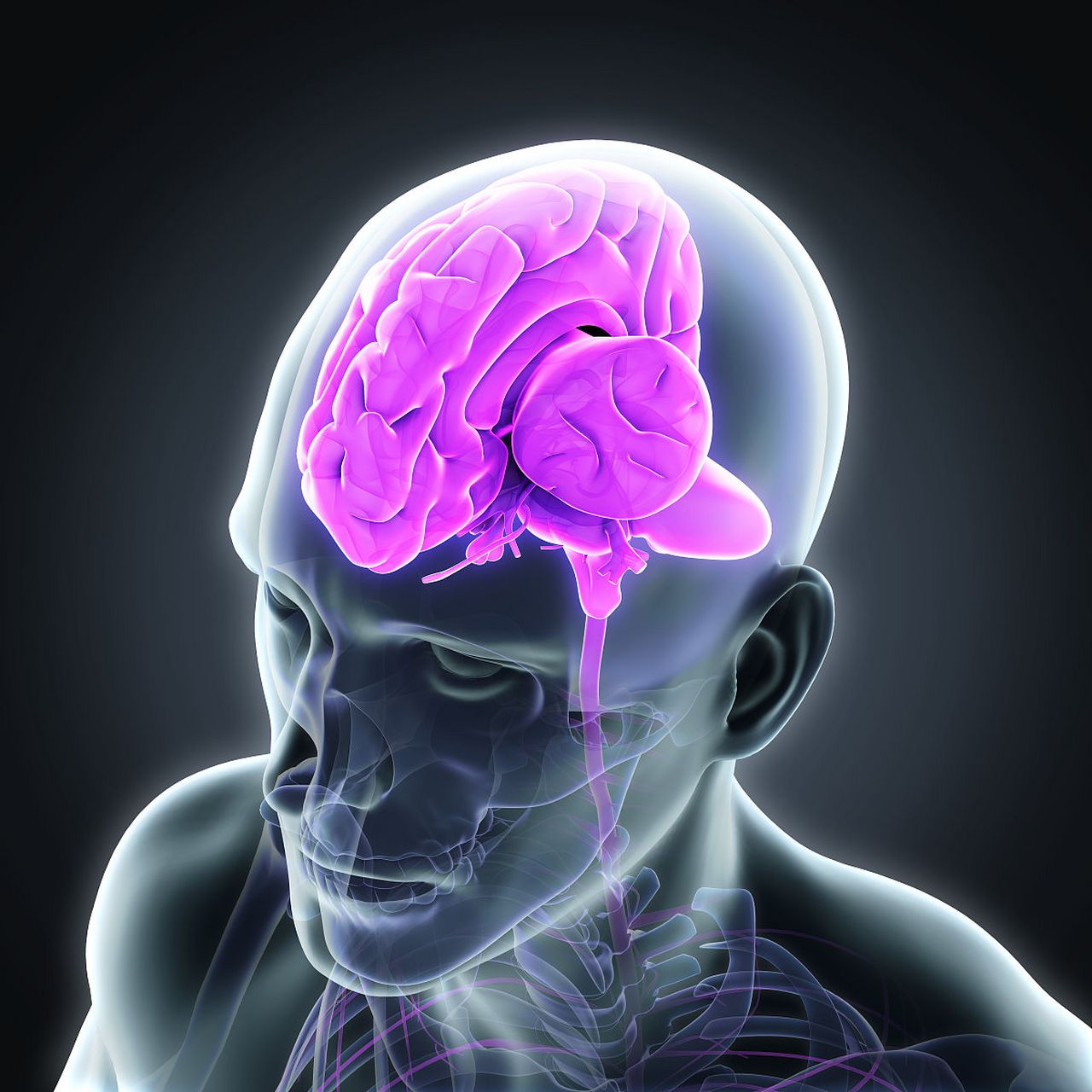 大脑萎缩是一种现象,不是一个病,虽然高发于老年人,但年轻人也会发生