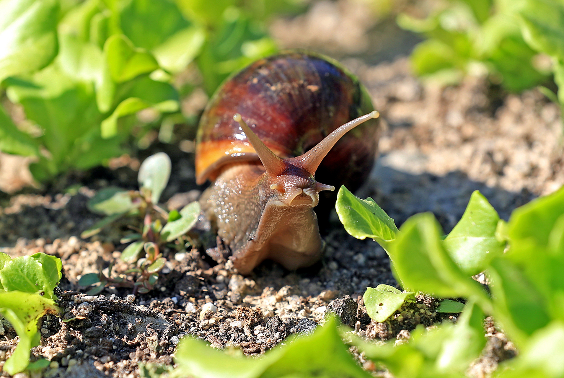 等了片刻,还不见他俩进来.