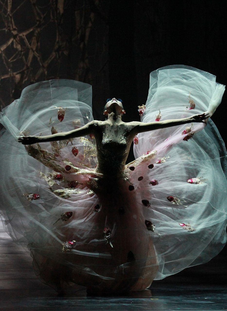 杨丽萍,中国著名舞蹈艺术家,以她的孔雀舞而闻名于世.