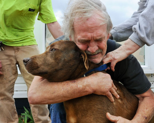直击6个人与动物感动人心的瞬间,哪一个让你泪流满面?