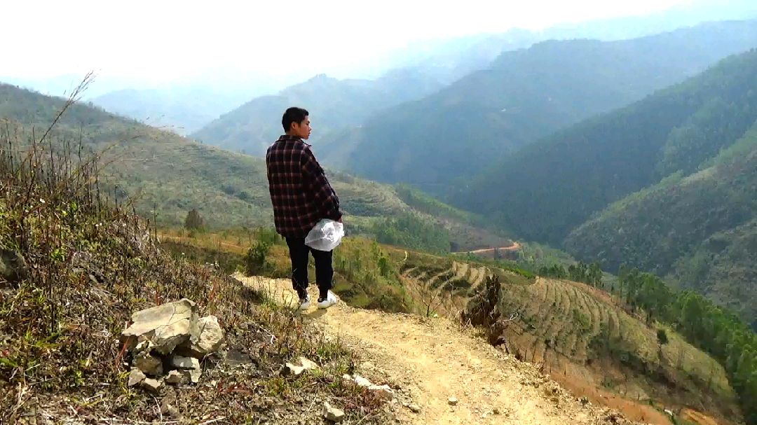 小伙翻山越岭找分布在我国南方的一种野菜,今天终于有口服了