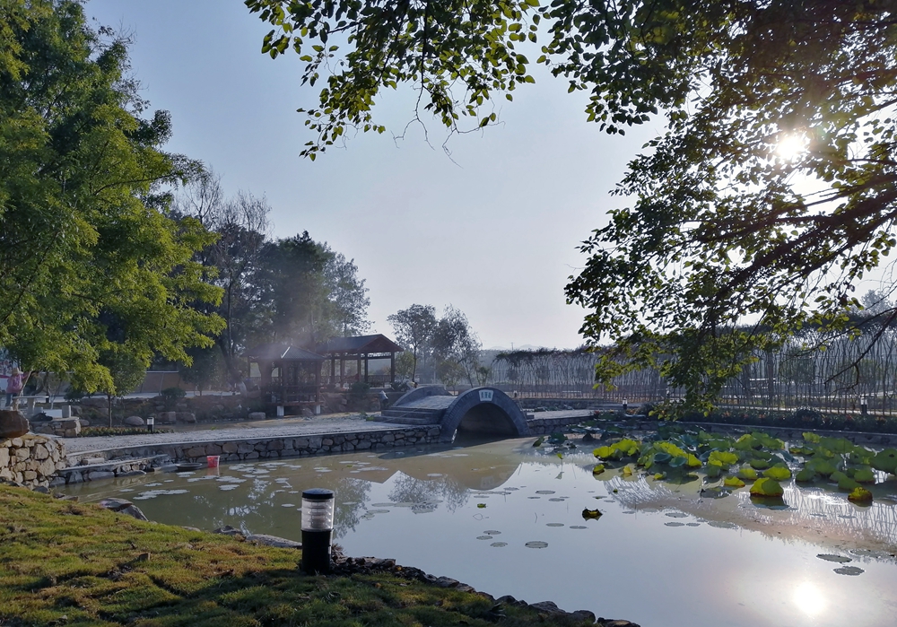 京山记者走基层:美丽乡村进行时之孙桥镇牛车河村