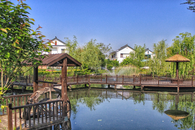 丁桥镇,一起来欣赏这里的景色吧