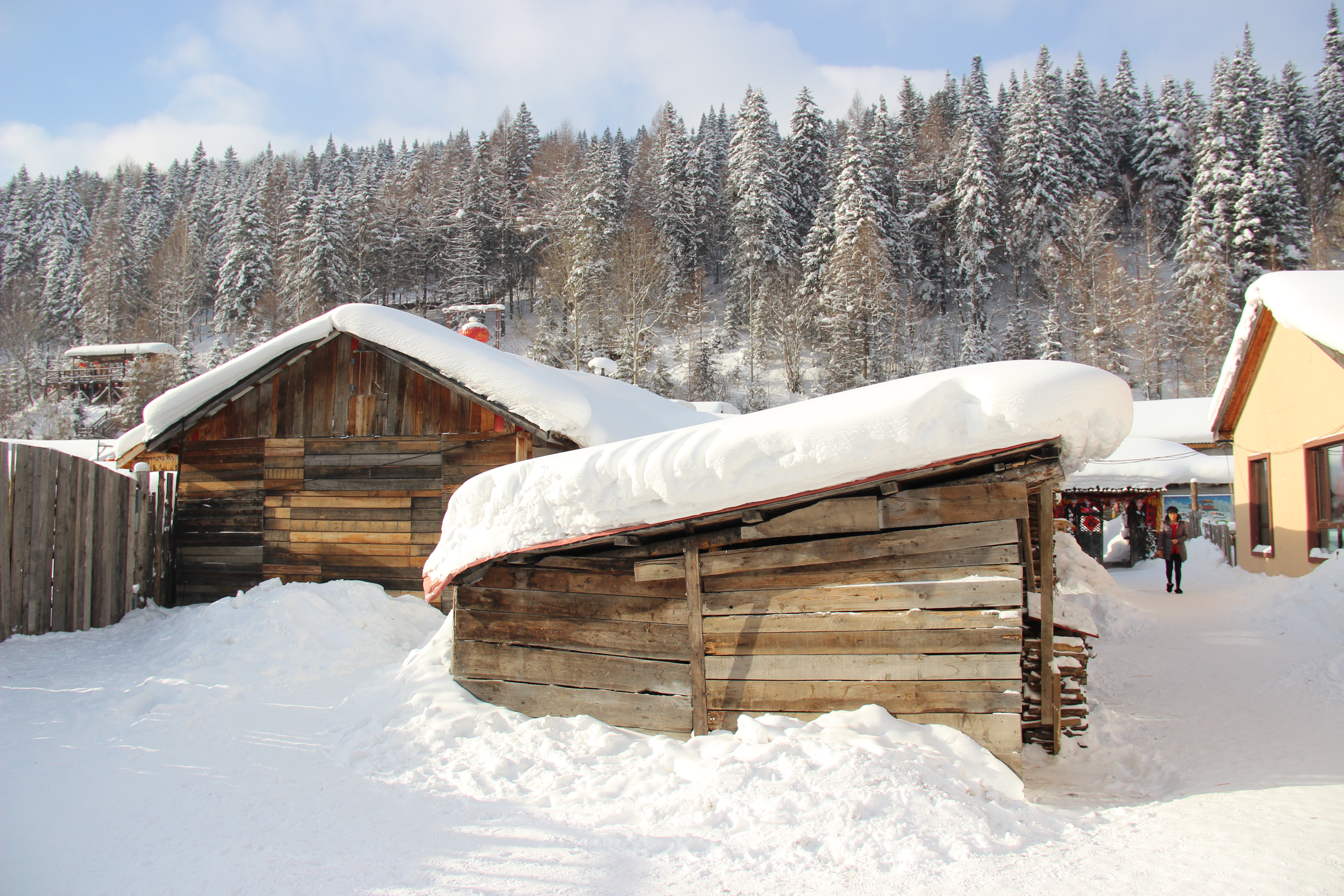 在最好的月份,去哈尔滨过冬,去雪乡看雪