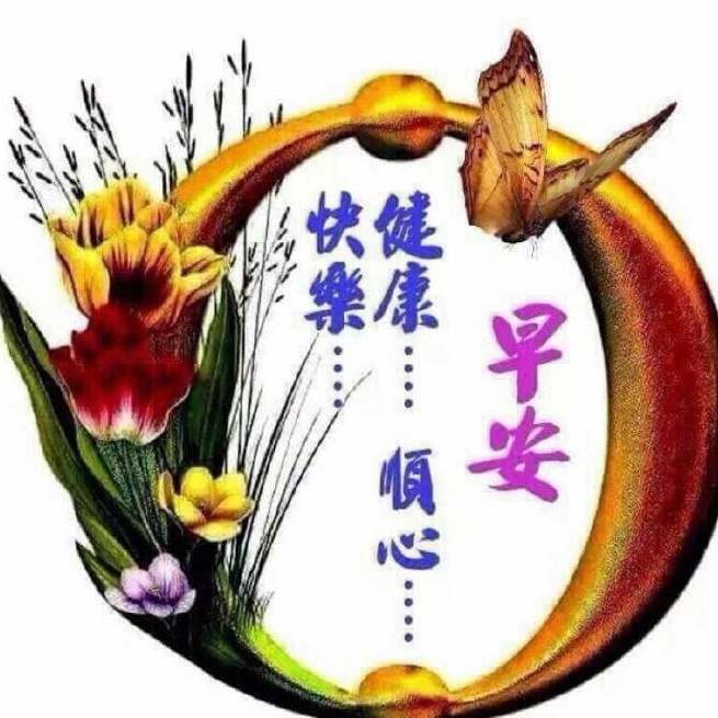 5月2日清晨问候大家早上好阳光祝福语,早晨好短信祝福语阳光短信