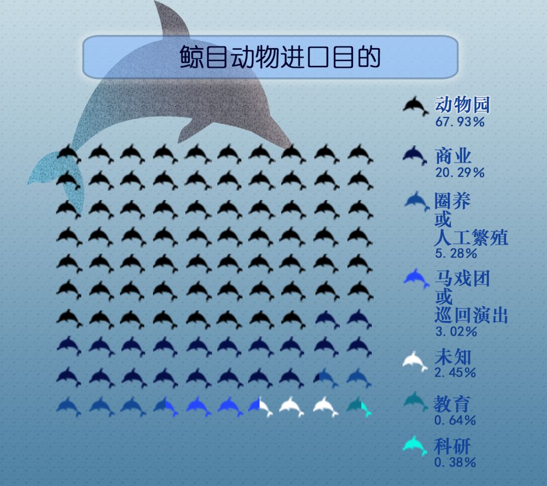 鲸乐园,谁的乐园?