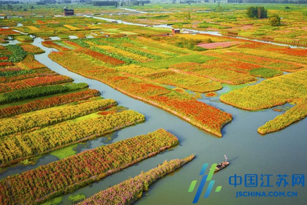 兴化品蟹赏菊旅游季接待游客超百万人次