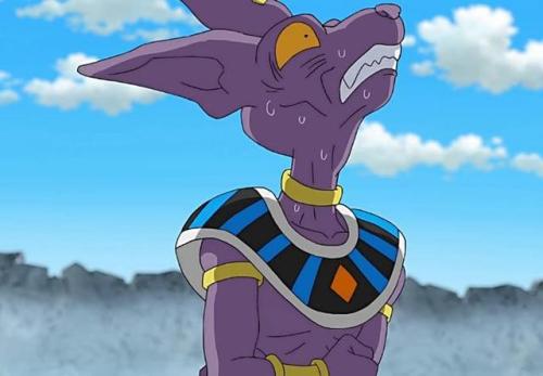 所有人都害怕破坏神比鲁斯,不害怕维斯,长相只占一部分原因