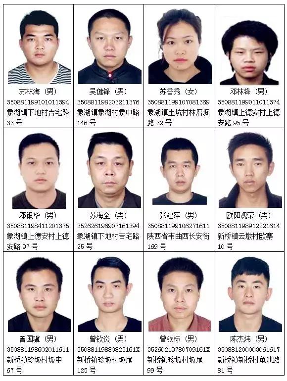 龙岩漳平24小时内10名电信网络诈骗逃犯到案!