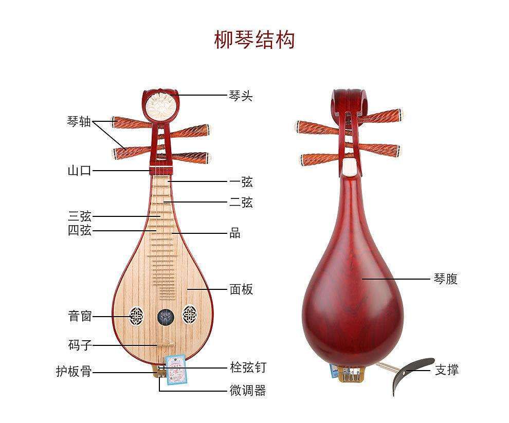 柳琴把位图图片