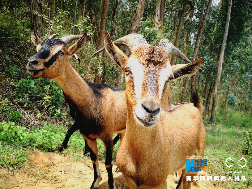 宜良马蹄湾图片