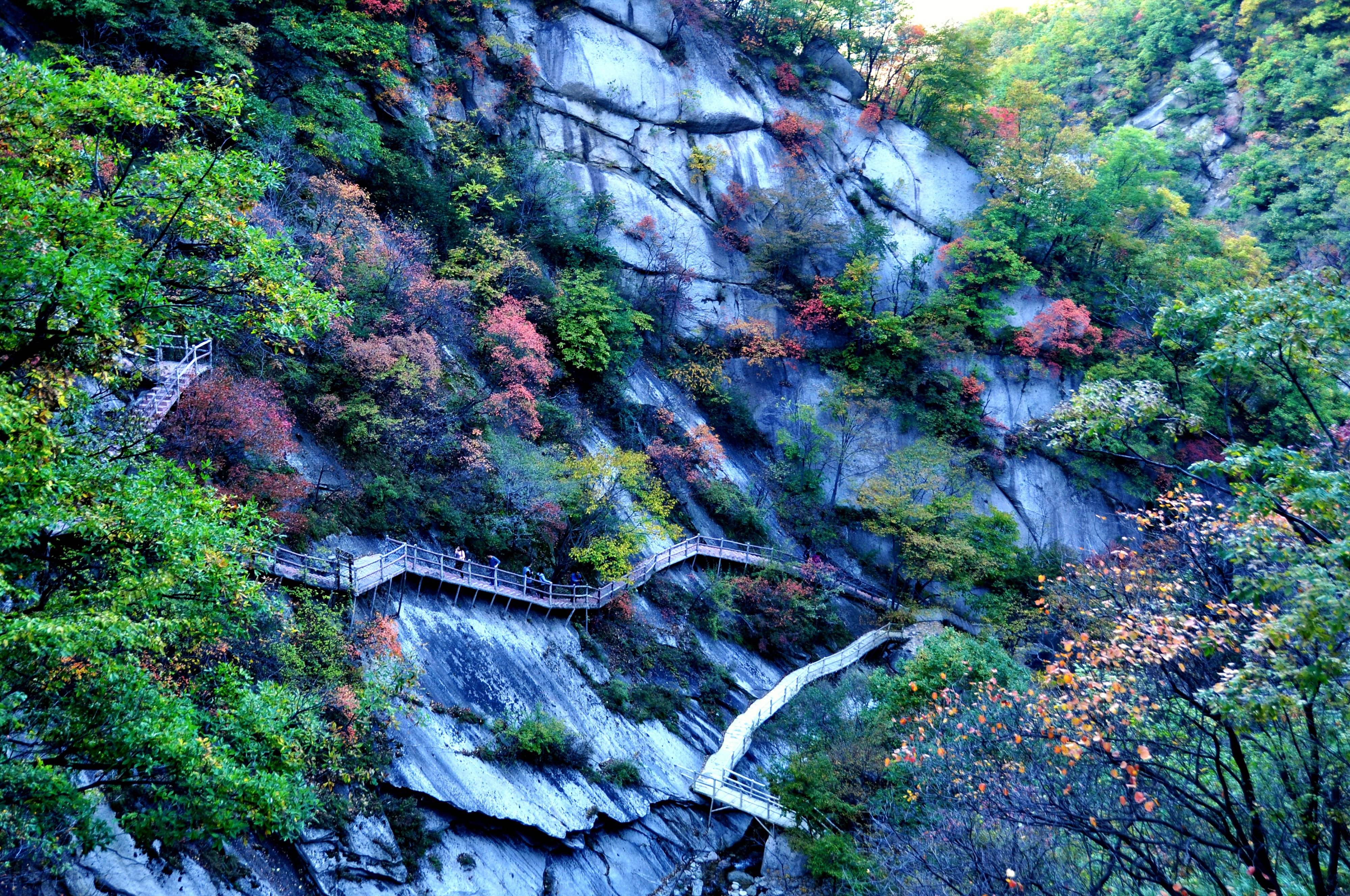 河南洛陽旅遊攻略:清明3天假去哪兒?洛陽白雲山爬山好去處