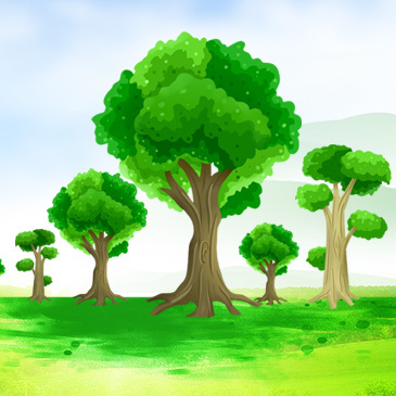 百日草的花期可以持续3个月