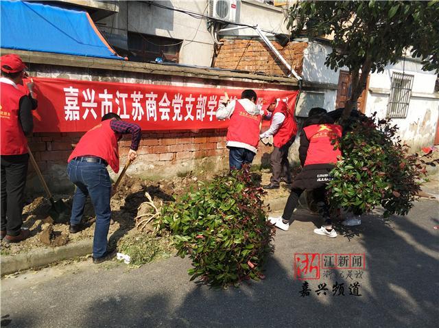 嘉长里短丨志愿植树护绿 共建绿色家园