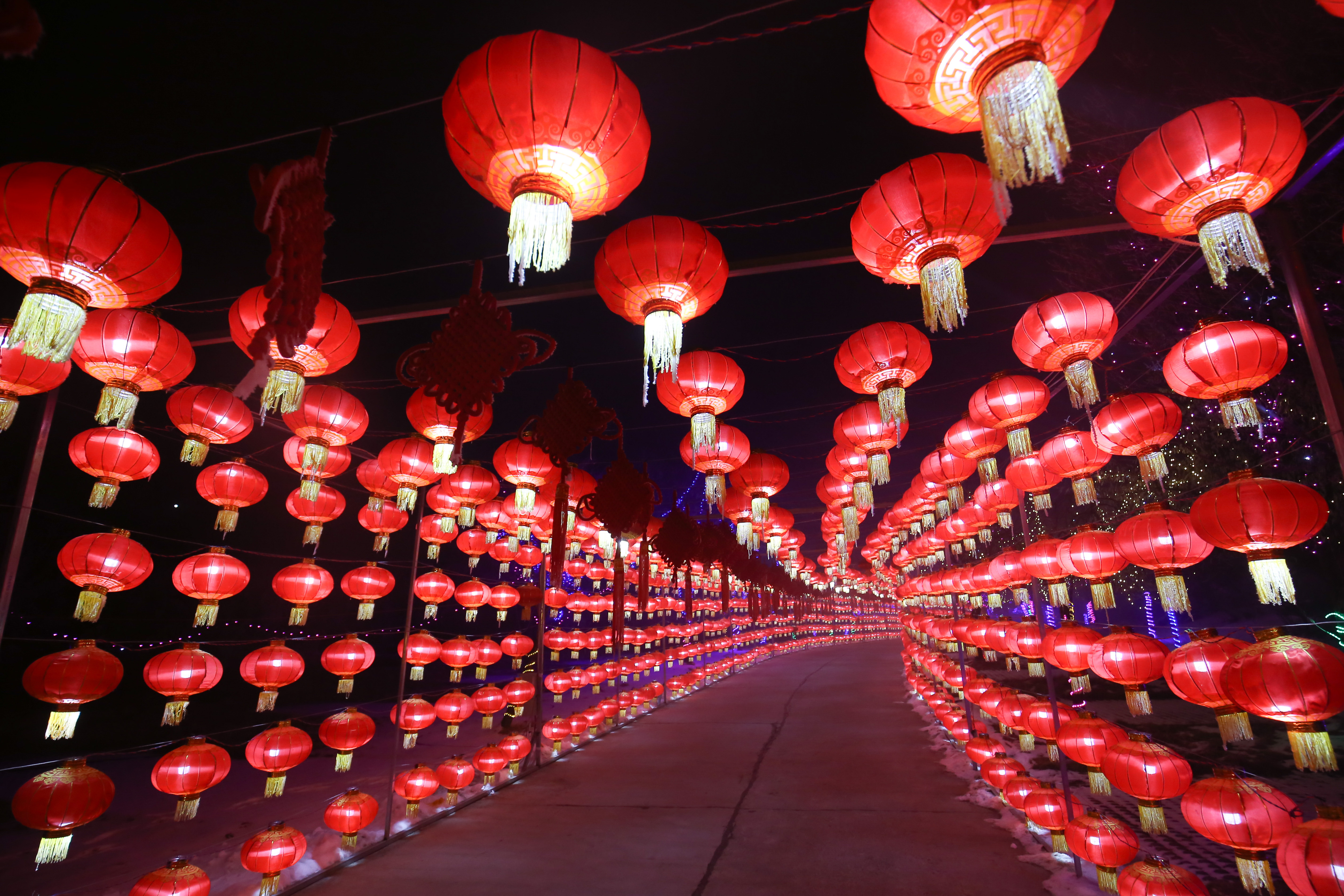 超长的灯笼走廊 超长的灯笼走廊,一片节日气氛,晚上由于天冷,人不多