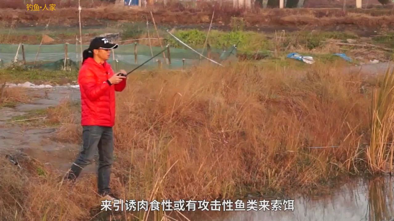 钓鱼教学:路亚索饵钓法,用假饵诱钓攻击性强劲的大鱼