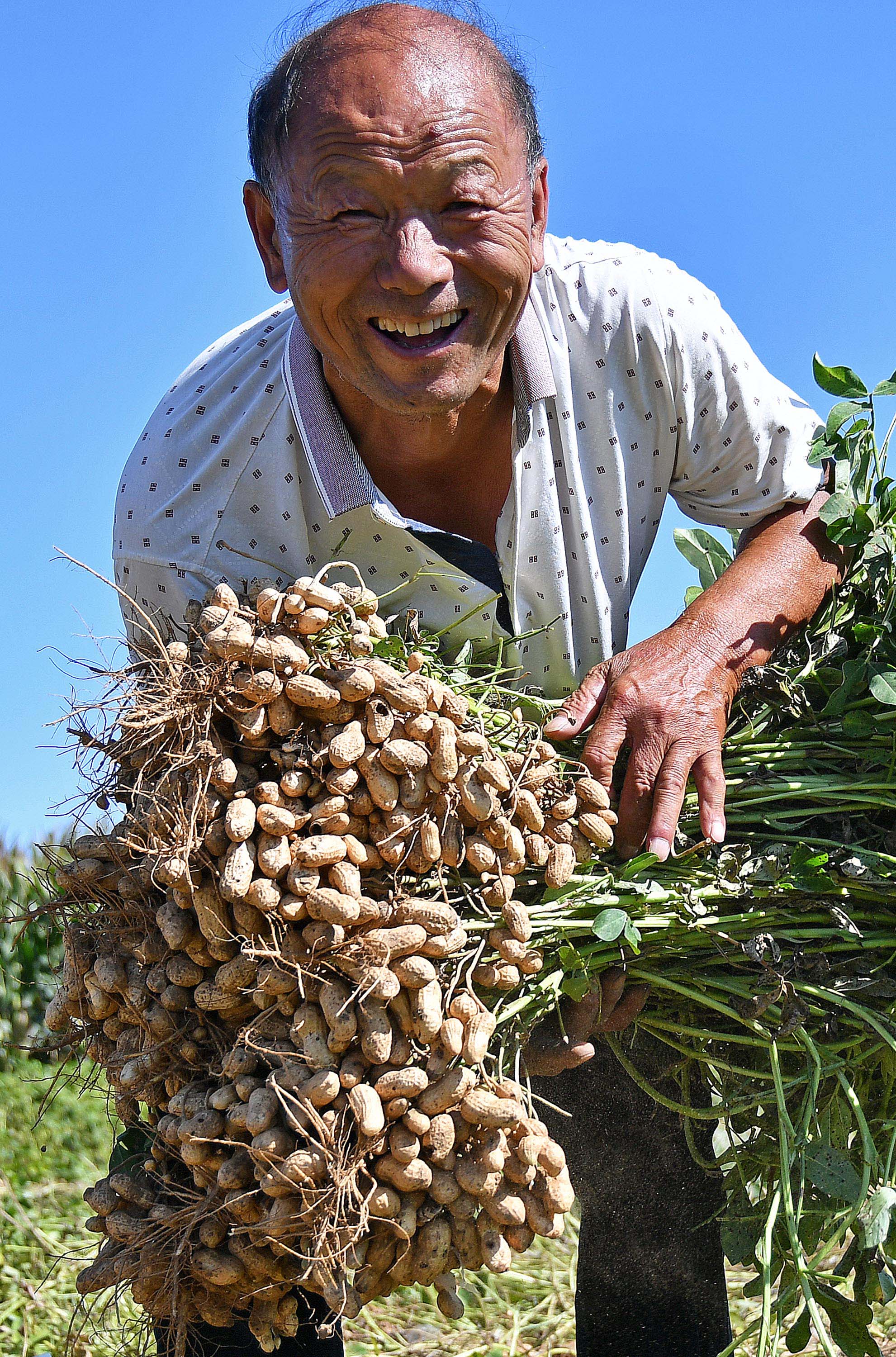 丰收节 收获季