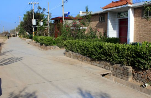 农村路边绿化工程.