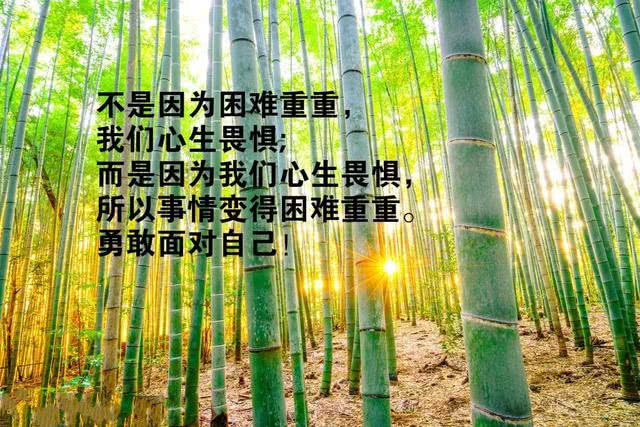 早安励志句子图片:认真对待崭新的每一天,就是对未来最好的承诺