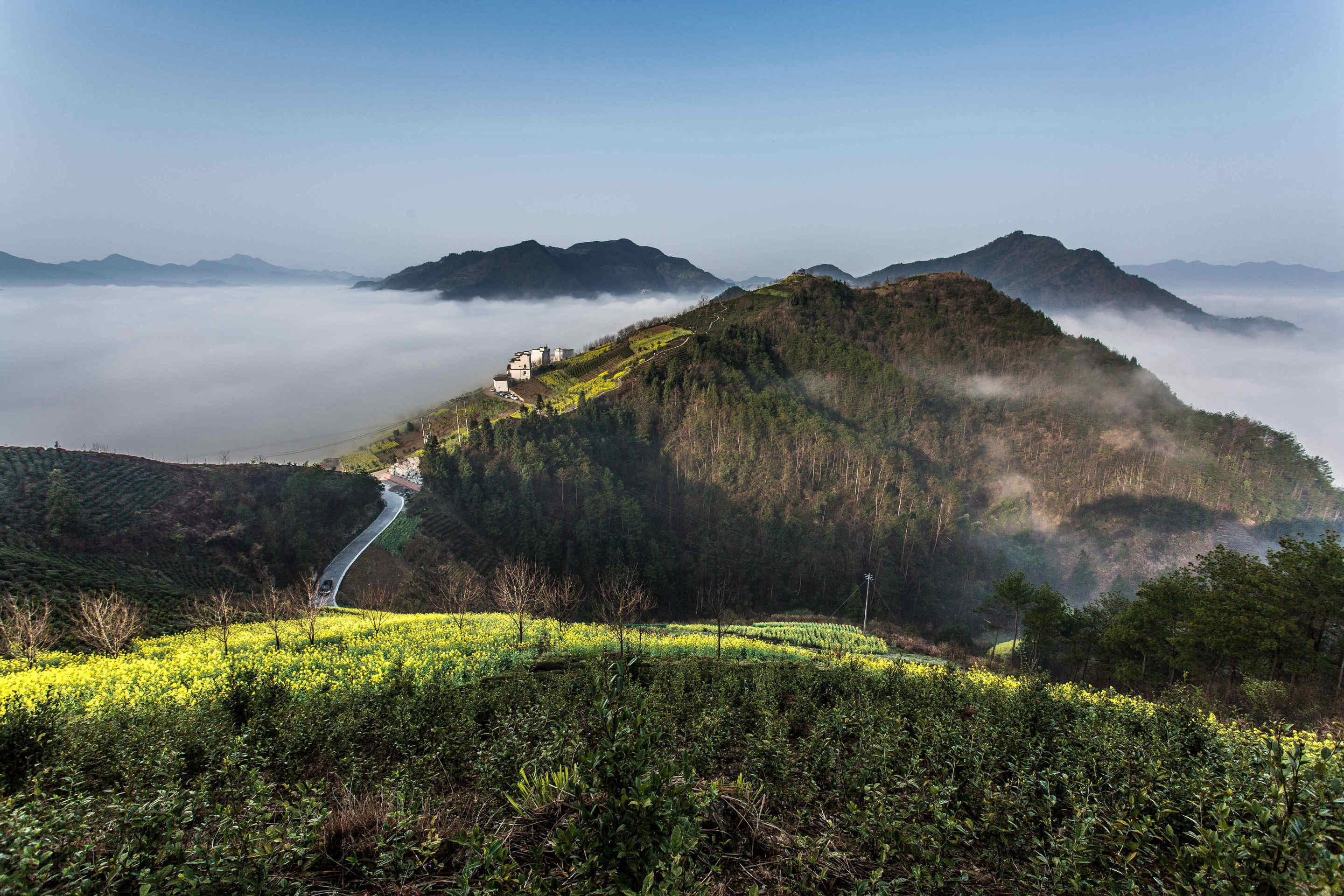 你一定会爱上她——徽州三月份的坡山村