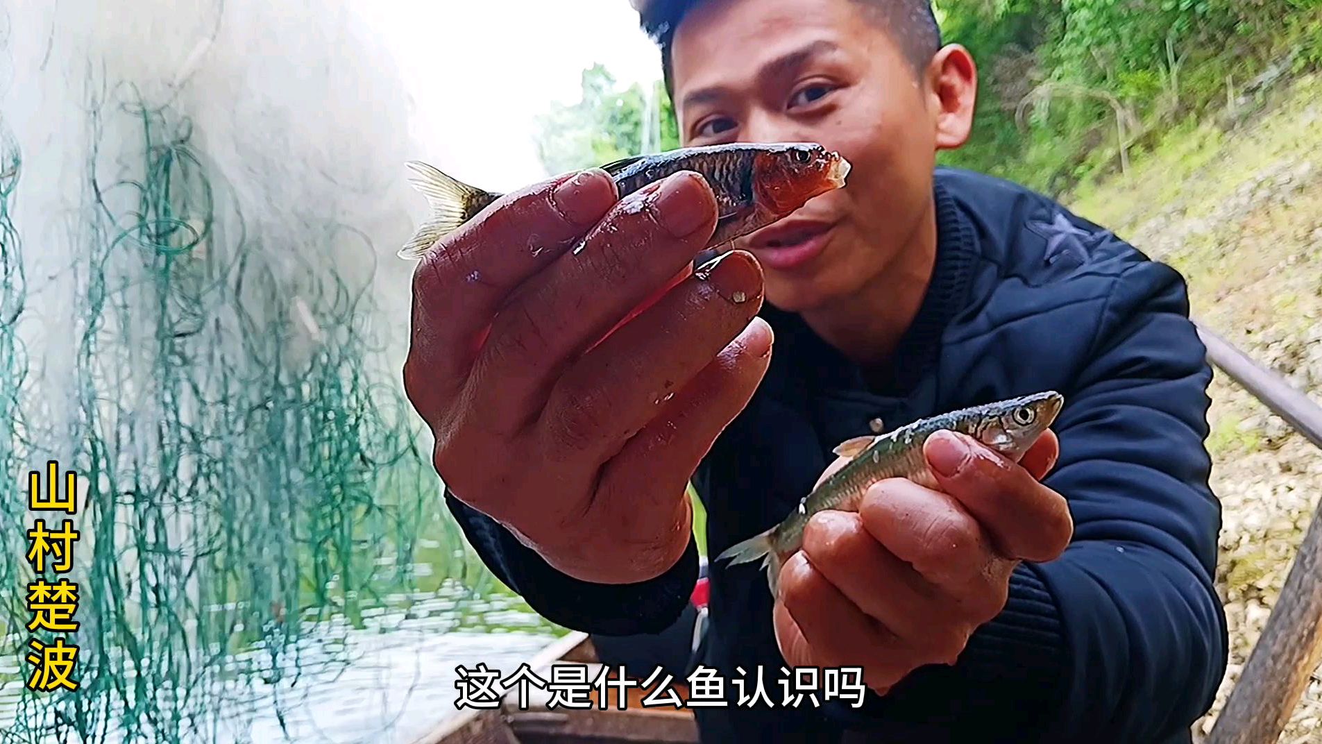农村小伙去小河抓鱼。这条鱼好奇怪,鱼头为何是红色的!