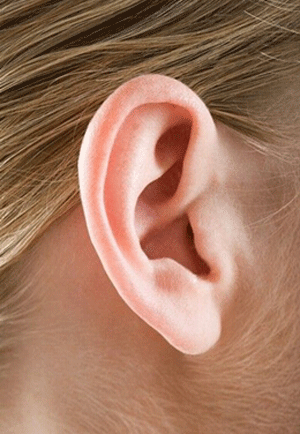 面相小知识这:五种不同的耳形分别代表着五种命格,你是哪种呢?