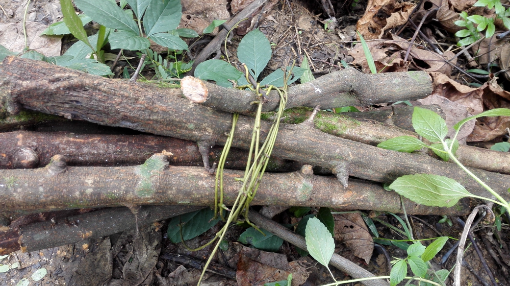 梅花花 - 热门商品专区