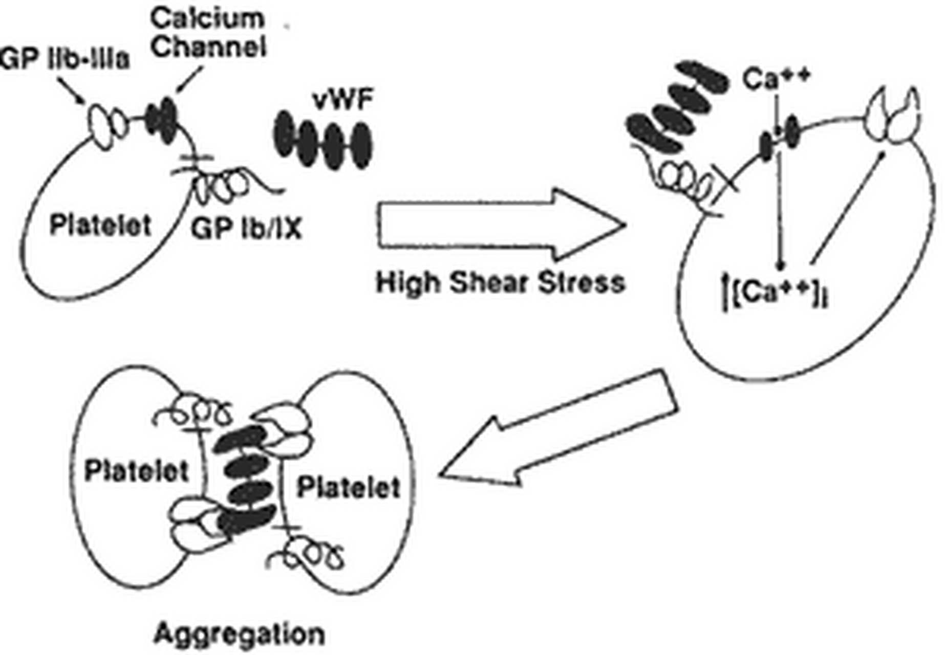 科普知识竞赛#瑞斯托霉素诱导血小板聚集测定是在富含血小板血浆(prp
